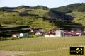 Der Kaiserstuhl in Baden-Württemberg, (D) (34) 10. Mai 2015 Blick ins Krottenbachtal.JPG